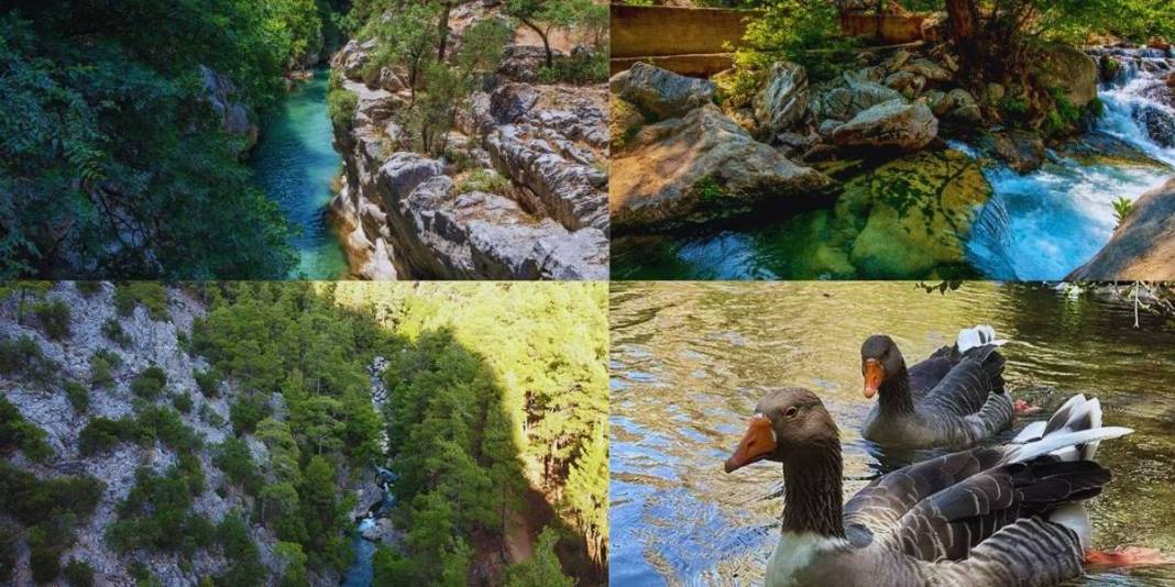 İsteyen pikniğini yapıyor isteyen yürüyüşünü! Doğal güzelliği büyülüyor: Giden gitmeyene öve öve bitiremiyor 1